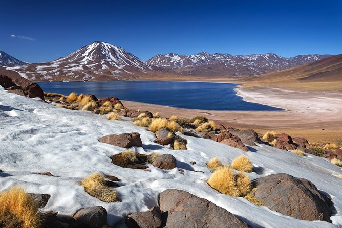 1-Day Tour Altiplanic Lagoons and Piedras Rojas and Laguna Chaxa - Key things you will like about this day