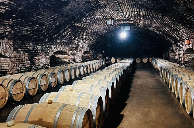 1 Day Tour of Viña Concha y Toro from Santiago - The vineyard walk and Maipo Valley views you will actually notice