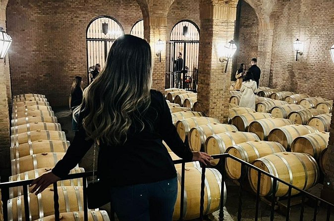 1 Day Tour of Viña Concha y Toro from Santiago - How long you will be there, and the pace reality check