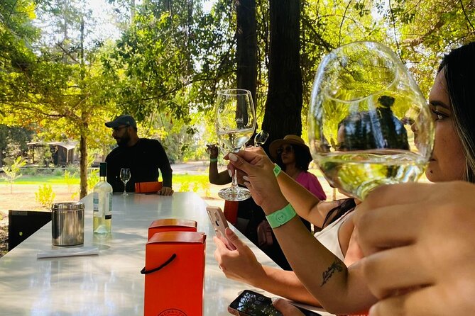 1 Day Tour of Viña Concha y Toro from Santiago - Getting to the winery: pickup, the listed 12:00 start time, and mobile tickets