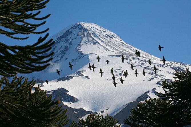 2-day guided ascent to Lanin volcano, from Pucón - Key things to know before you go