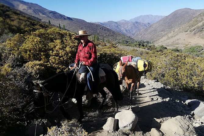 2-Day Private Hiking Tour to La Paloma Glacier - Day 2: back down with mule support, then up into glacier country