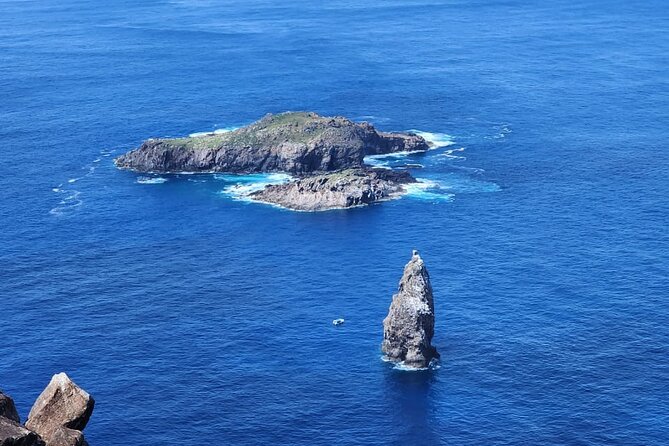 2 Days touring Rapa Nui Highlights in small groups - Stop 2: Ahu Te Pito Kura and Moai Paro (Famous, Huge, and Still Unrestored)
