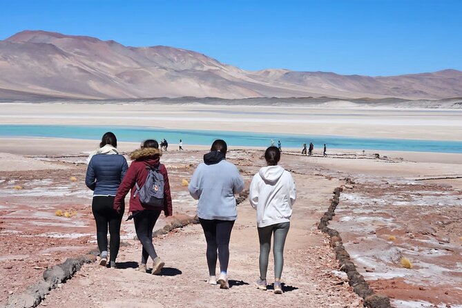 3-Day Tour in San Pedro de Atacama - Piedras Rojas, Altiplanic Lagoons, and Chaxa Lagoon: the full 10-hour highlight day
