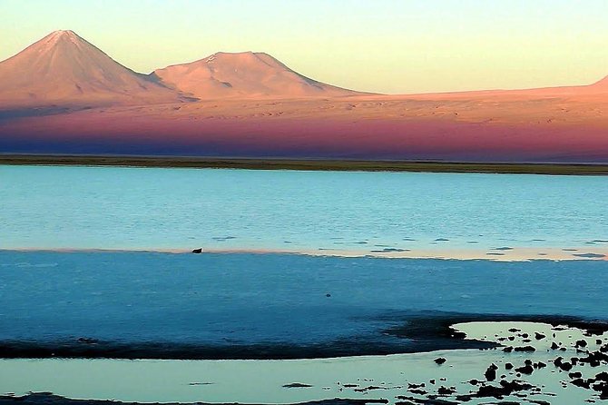 4-Day Atacama Desert Experience with Hotel, Tours & Meals - Day 3: El Tatio geysers before the crowds, then Putana wetland and Machuca