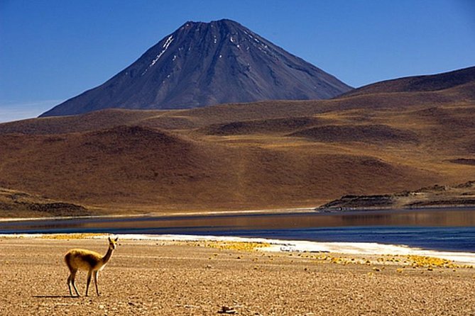 4-Day Atacama Desert Experience with Hotel, Tours & Meals - What to pack for Atacama altitude and early mornings