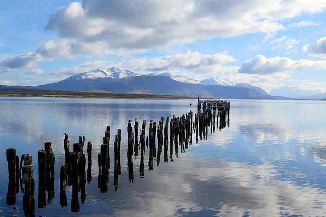 4-Days Trip to Puerto Natales & Torres del Paine National Park - Day 1: Punta Arenas Arrival, Lunch, and the Push to Puerto Natales
