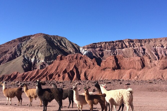 4 Tour in 2 Days, in San Pedro de Atacama - Day 1: Valle Arcoiris and the Petroglyph Hike (Colored Rocks and Short Trekking)