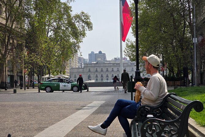 6 Hour Tour of Culture, History and Flavors from Santiago - La Moneda and Plaza de Armas: politics, Pinochet, and the Mapuche in one walking day