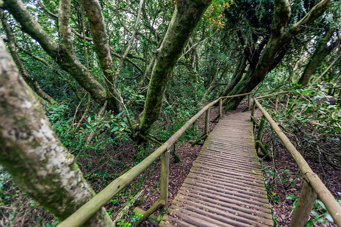 Activity in Fray Jorge National Park - Key highlights you should know