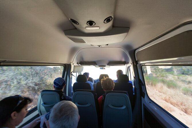 Activity in Fray Jorge National Park - Trails and spotting the relict forest in a semi-arid zone