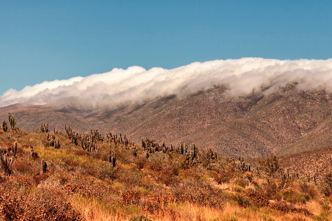 Activity in Fray Jorge National Park - Price and value: what you pay for the tour versus park entry
