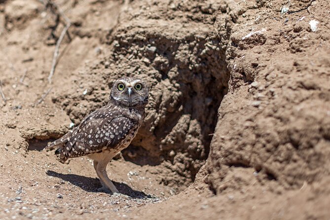 Activity in Fray Jorge National Park - What to bring for comfort, photos, and a smoother hike