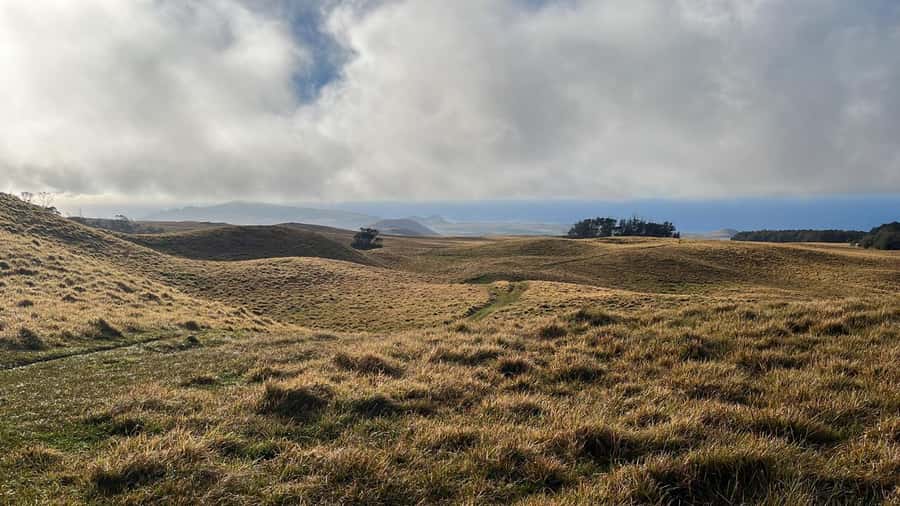 Adventures in Rapa Nui: High-quality tourism with Easter Island Your Tour. - Key Highlights Worth Booking For