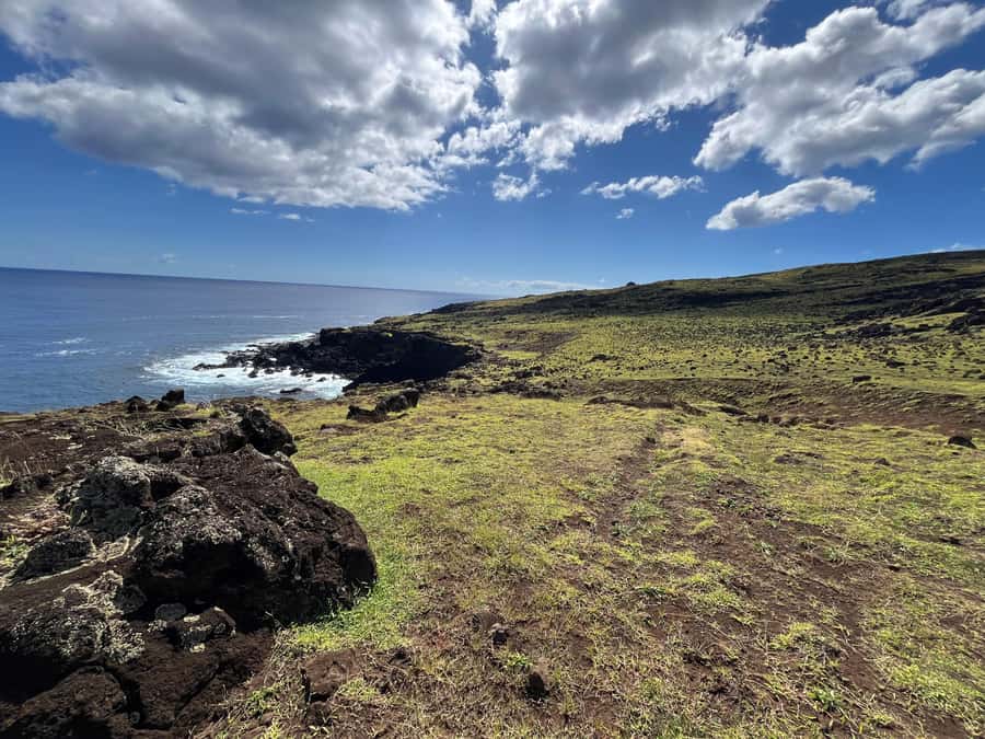 Adventures in Rapa Nui: High-quality tourism with Easter Island Your Tour. - Price and Value: Is $200 Worth It on Rapa Nui?