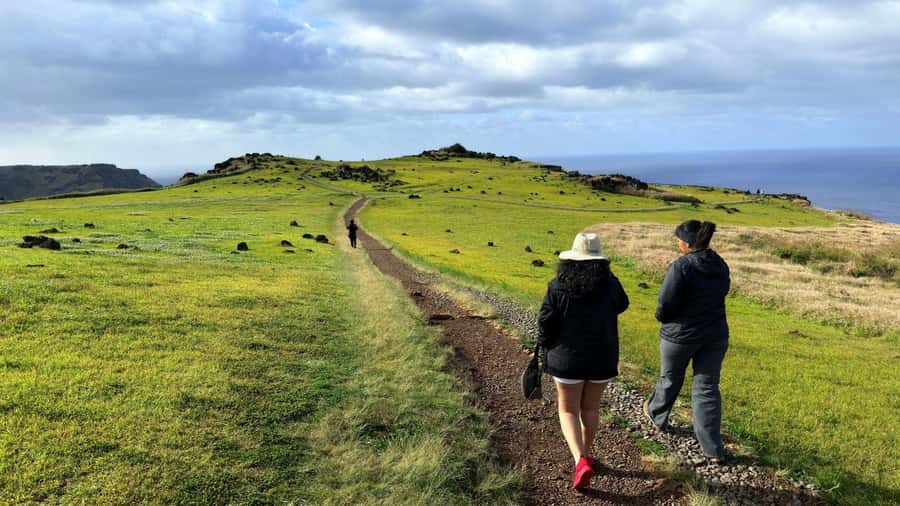 Ahu Vinapu, Rano Kao and Orongo City Half-Day Tour - Key things you will notice on this tour