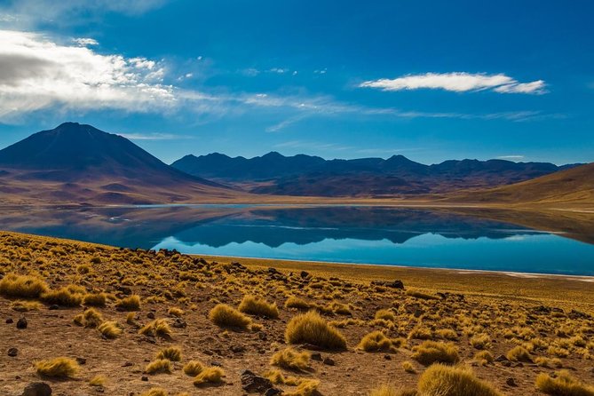 Altiplanic Lagoons & Piedras Rojas Tour from San Pedro de Atacama - Key things to know before you go