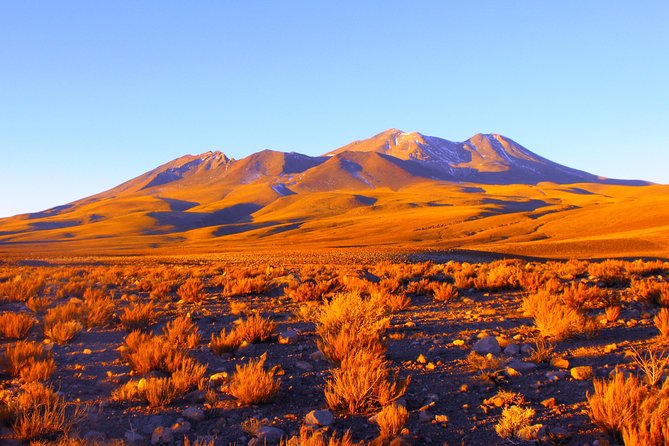 Altiplanic Lagoons & Piedras Rojas Tour from San Pedro de Atacama - Who this tour suits, and who should reconsider
