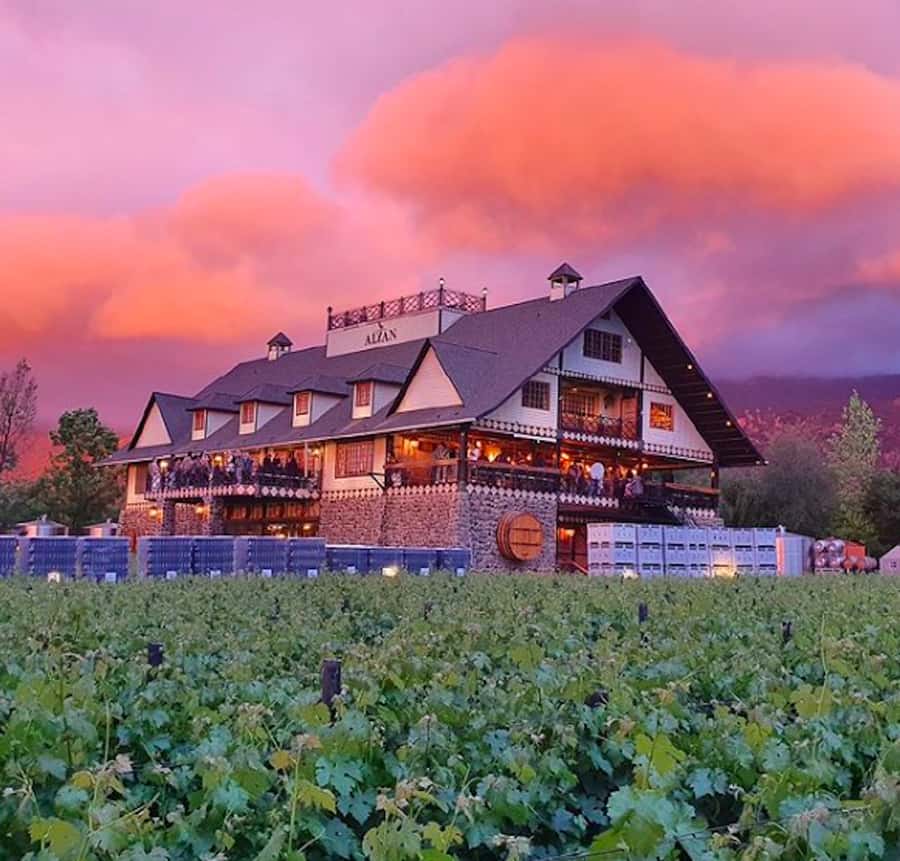 Alyan Family sunset winery - Quick take before you go
