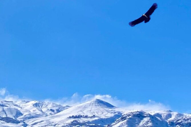 Andes Mountains Tour From Santiago with Appetizer - Key highlights