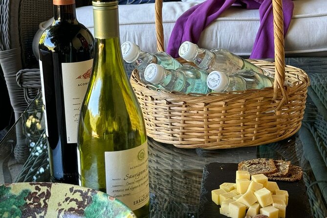 Andes Portillo & Aconcagua wine tour semi private - Duration, timing, and what the 10 hours really means