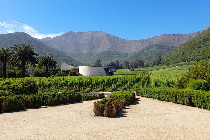 Andes Portillo & Aconcagua wine tour semi private - Laguna del Inca and Portillo views, a calm break that feels earned