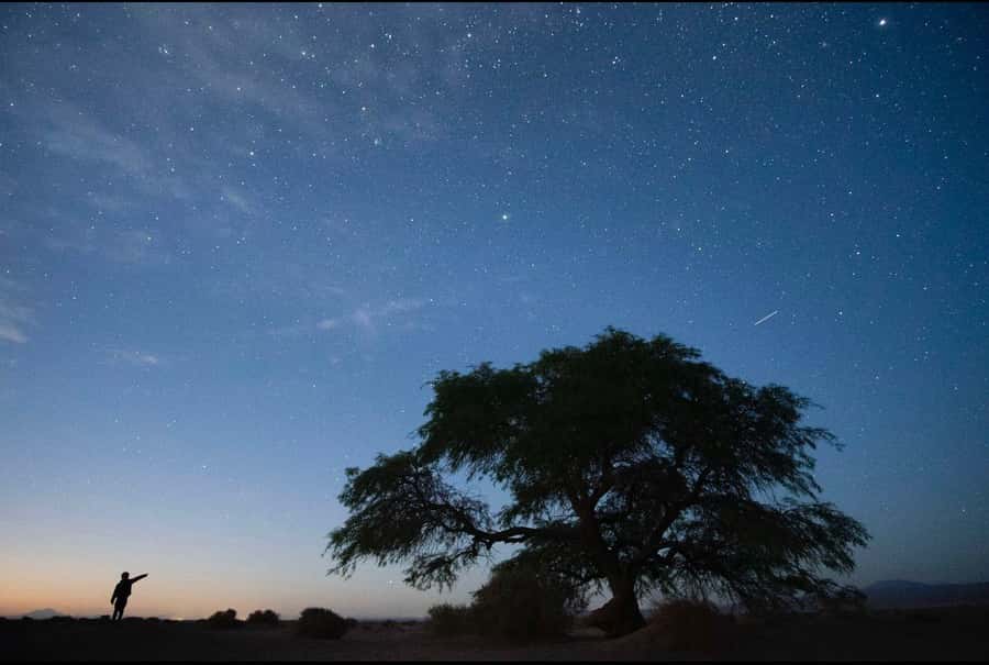 Antofagasta: Astronomical Tour with a Guide - Stage Two: Telescope Observation for Planets and More
