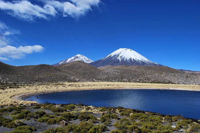 Arica: Full day to Lauca National Park and Chungara Lake, meals included - Key things to know before you go