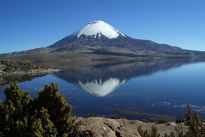 Arica: Full day to Lauca National Park and Chungara Lake, meals included - Entering the Lluta Valley: geoglyphs, villages, and cactus candelabra