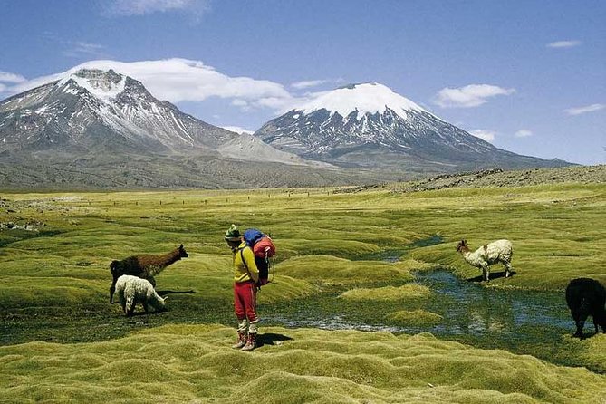 Arica: Full day to Lauca National Park and Chungara Lake, meals included - Parinacota Village and Putre: Aymara life, mud-and-straw architecture, and lunch