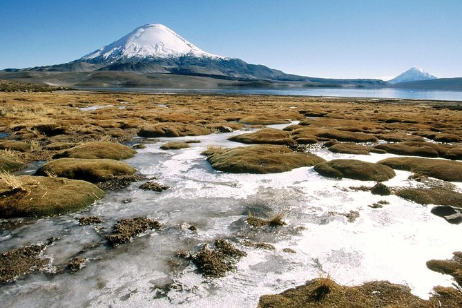 Arica: Full day to Lauca National Park and Chungara Lake, meals included - Should you book this Arica to Lauca and Chungara day trip?