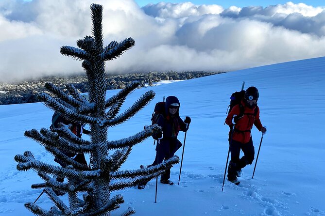 Ascent of the Llaima Volcano - The schedule that shapes your day (and your energy)
