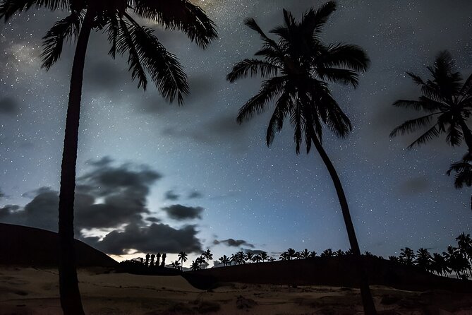 Astronomical Tour on Easter Island - Telescope plus guidance: what you actually do under the stars