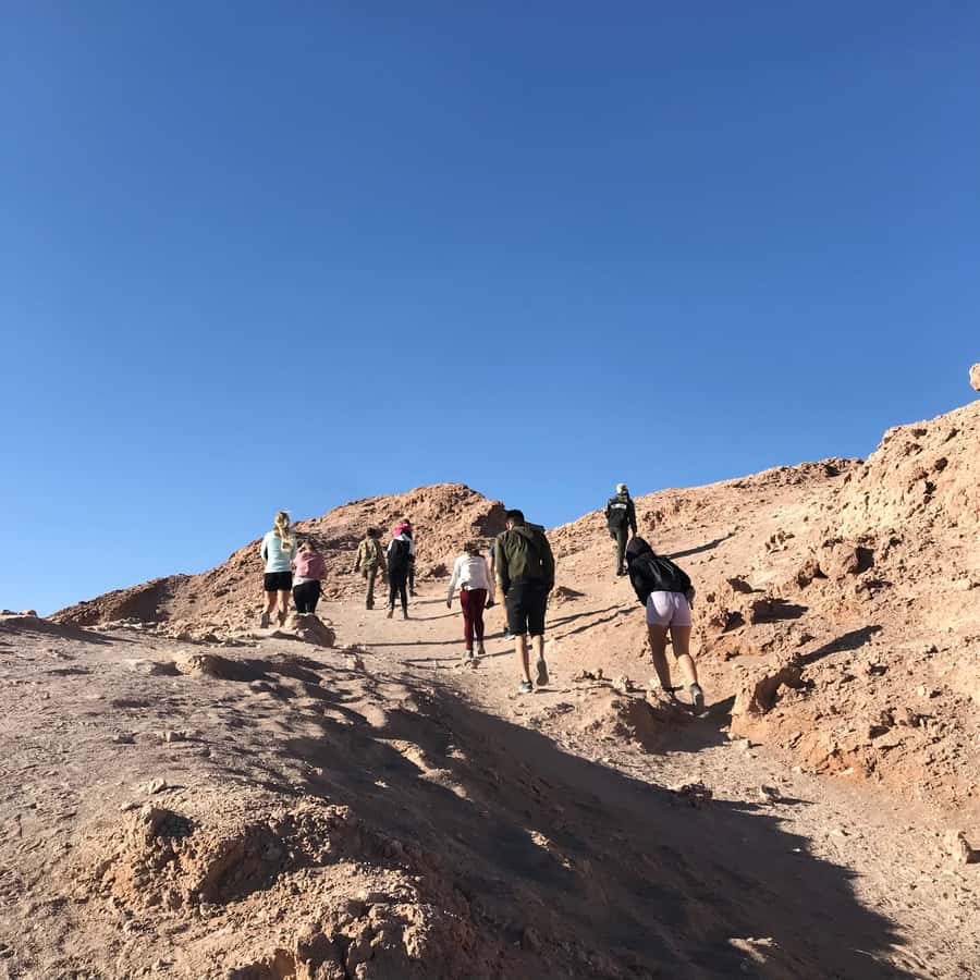 Atacama Desert and Magic Bus Visit - Who this tour suits best