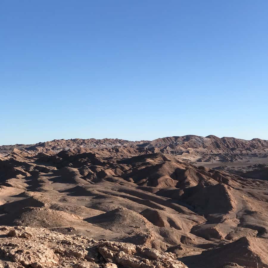 Atacama Desert and Magic Bus Visit - Sunset in San Pedro de Atacama: pisco, wine, and juices