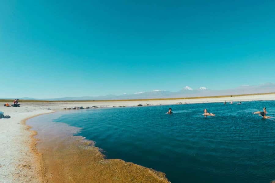 Atacama Desert: Floatation in Laguna Cejar and Sunset - Ojos del Salar: Why Those Freshwater Pools Feel Like a Trick