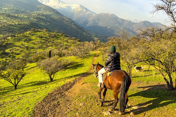 Authentic Andes Adventure: Private Horse Riding and Cheese & Wine - The Two-Hour Trail Ride: Views, Native Plants, and Open Sky