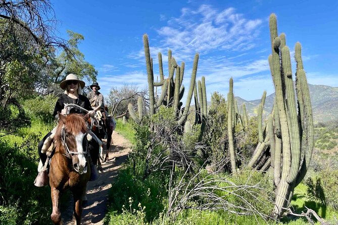 Authentic Andes Adventure: Private Horse Riding and Cheese & Wine - Meet the Ranch Life, Then Slow Down With Cheese and Wine
