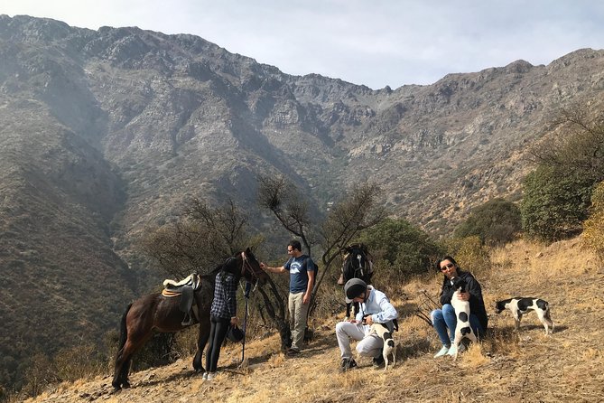 Authentic Andes Adventure: Private Horse Riding and Cheese & Wine - Pickup Near Las Condes, Then Straight to a Ranch