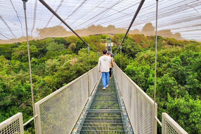 Aviary Tour and Tricao Park with Tasting in Undurraga Vineyard - Key things you will like about this tour