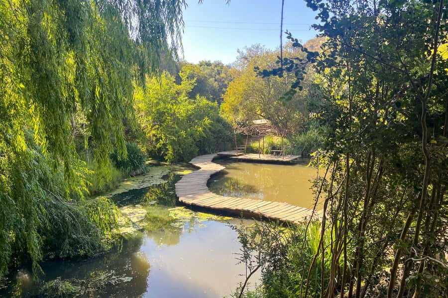 Aviary & Tricao Park Tour with Undurraga Wine Tasting - Key things to know before you go