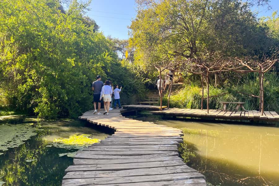 Aviary & Tricao Park Tour with Undurraga Wine Tasting - Parque Tricao: South America’s biggest aviary in a 100-hectare park