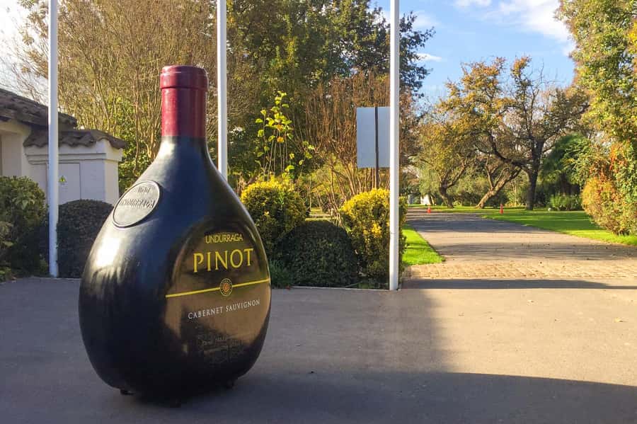 Aviary & Tricao Park Tour with Undurraga Wine Tasting - Price and value: what $147 buys you in real terms