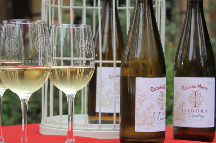 Bahá'i Temple and Cousiño Macul Vineyard - How the 5-Hour Group Schedule Really Feels