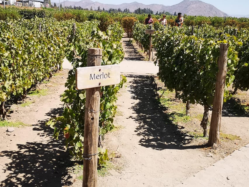 Bahá’í Temple, Winery and Lapis Lazuli + Private Transport - Lapis lazuli shopping and the blue-stone pisco sour moment