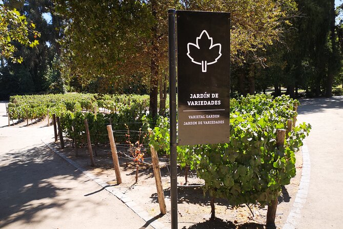 Bahá’í Temple, Winery & Tasting, Lapis Lazuli + Private Transport - Who this fits best in your Santiago plans