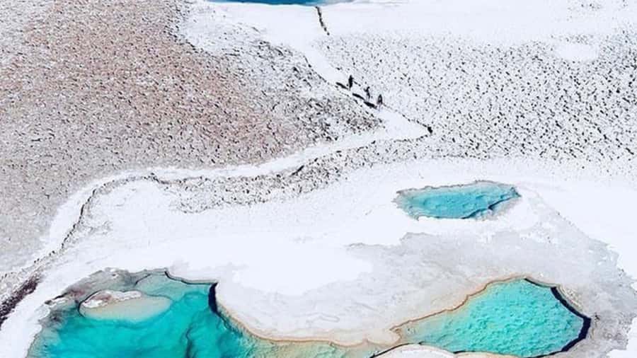 Baltinache Hidden Lagoons - Baltinache at 3,600 m: the appeal of saltwater in the Atacama