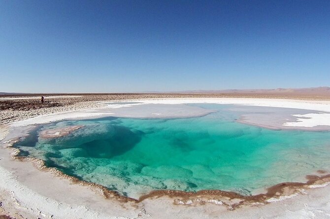 Baltinache Hidden Lagoons in Atacama - Price and logistics: is $79 a good value for this half-day?