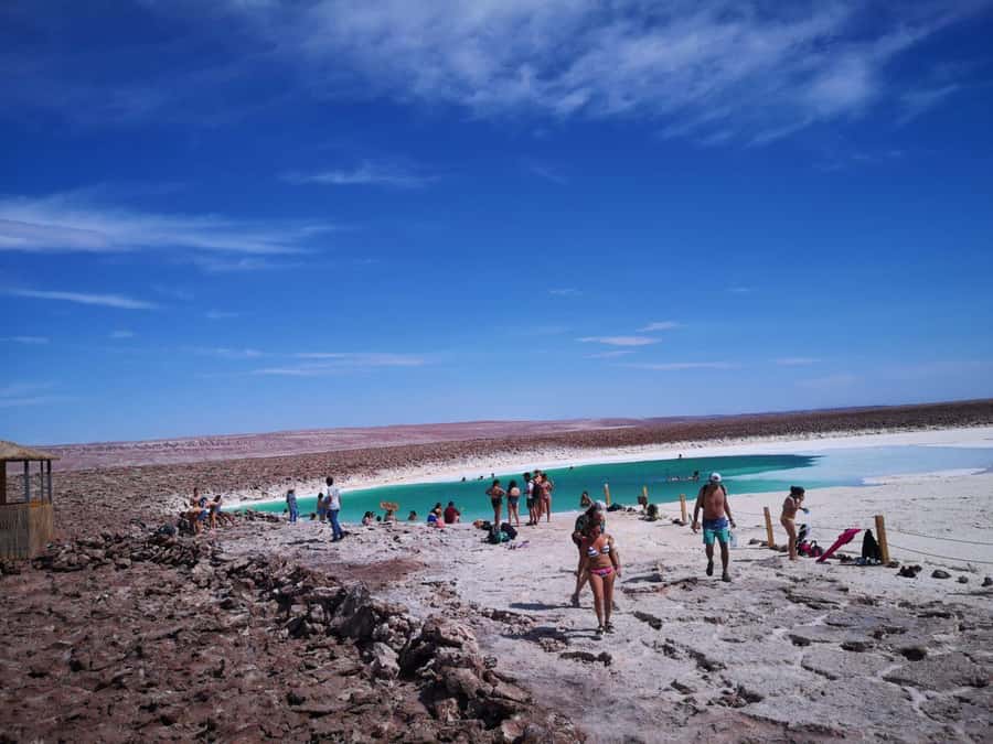 Baltinache Lagoons PM - Key things to know before you go