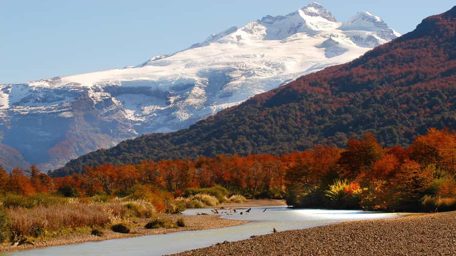 Bariloche: Cerro Tronador Tour - The van ride from Bariloche to Pampa Linda, and how to make it easier